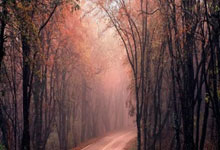 足球——中乙：甘肃职业足球再启.