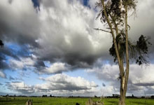 足球——中乙：甘肃职业足球再启.