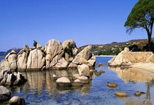 欧博官网：丹麦主帅：我对球队的整体表现很满意；我们应至少再多进个球.